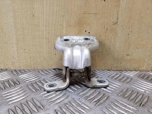 Cerniera porta anteriore